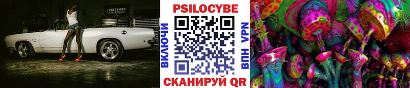 Псилоцибиновые грибы мицелий  Шатура 